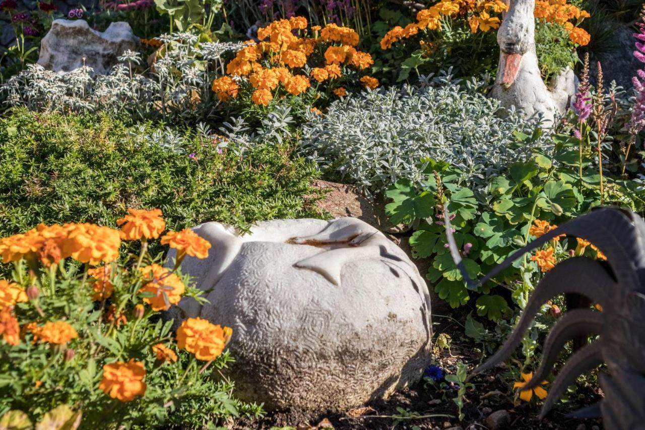 Tonigbauernhof Blumenwiese Scena Kültér fotó