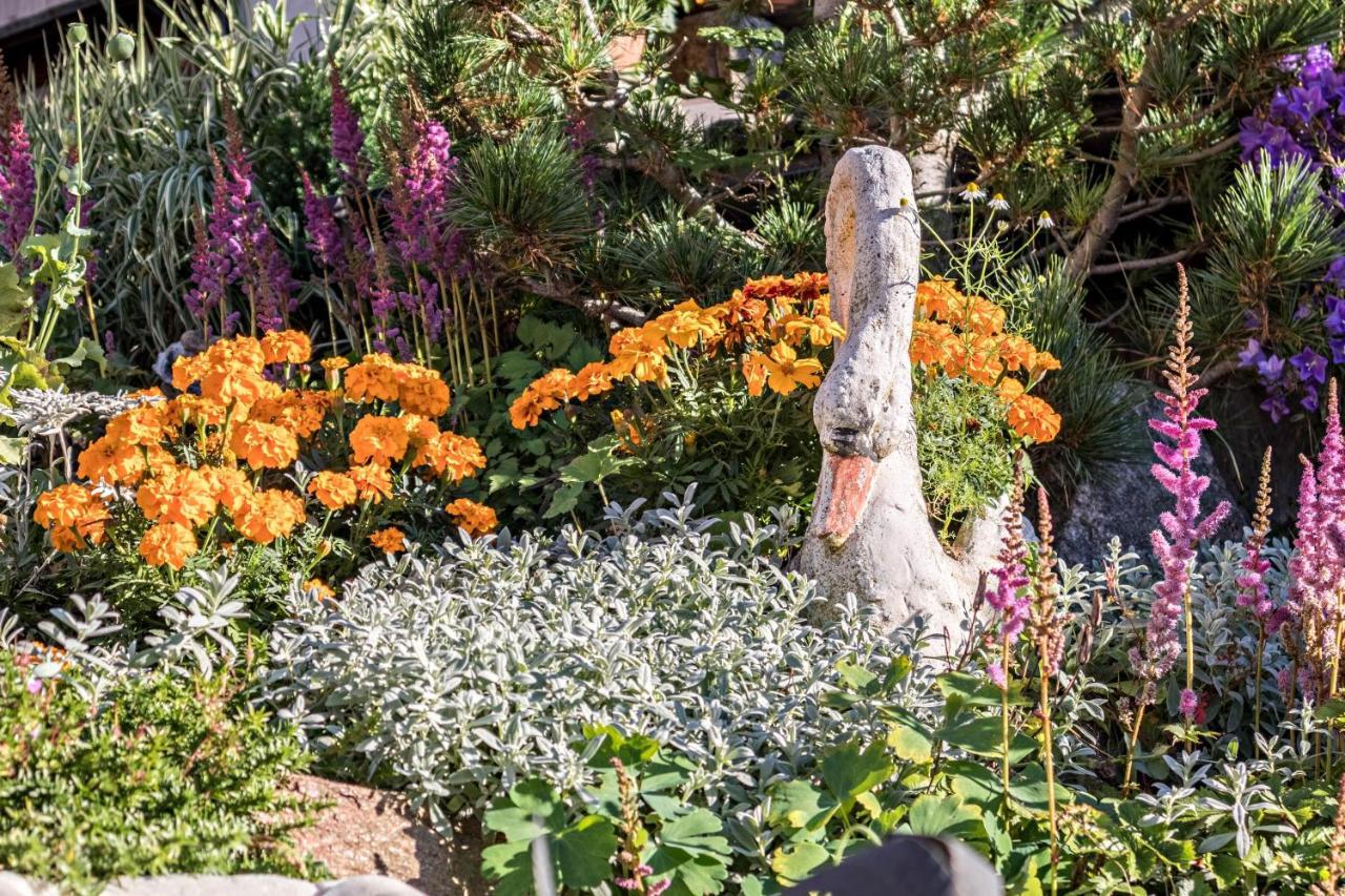 Tonigbauernhof Blumenwiese Scena Kültér fotó
